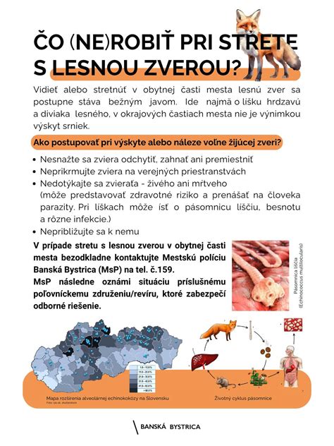 Vonkajná prehliadka zvieraťa pri pitve