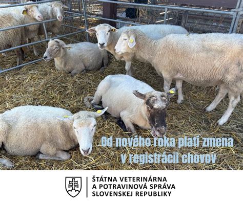 Priemyselný veľkochov hospodárskych zvierat