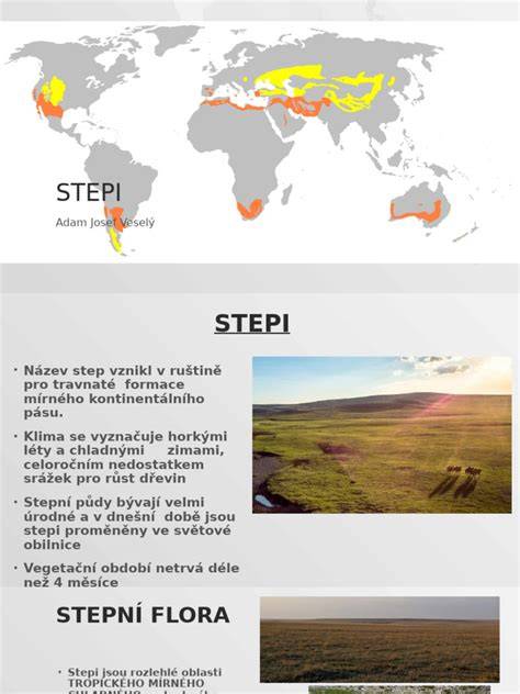 tarpany v európskej stepi