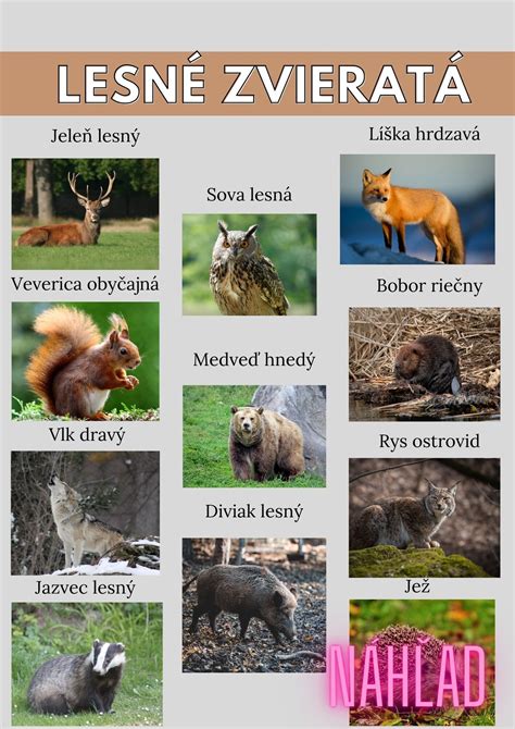 Makety lesných zvierat v prírodnom lese