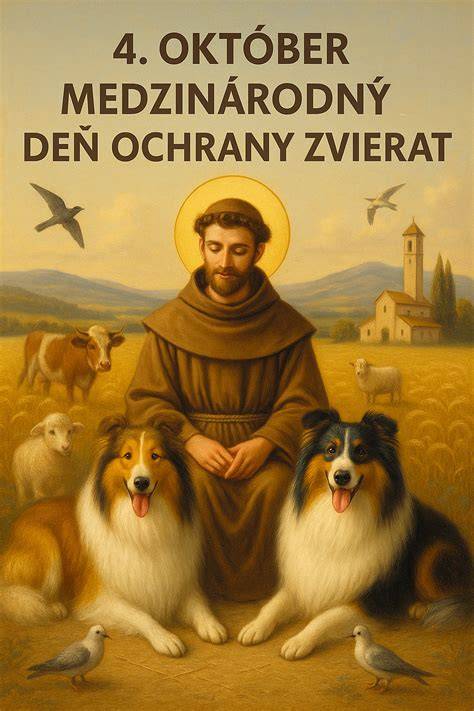 Dokumentovanie týrania zvierat veterinárna pomoc