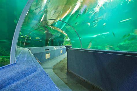 Žraločie akvárium so skleneným tunelom