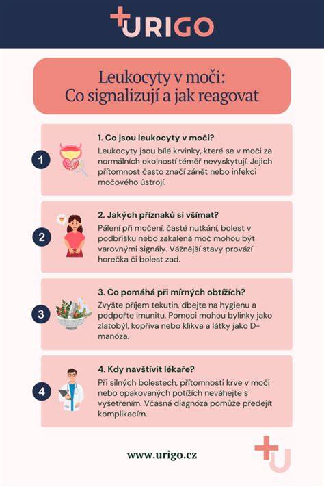 Leukocyty v krvnom nátere psa