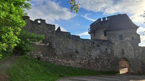 Pes strážiaci starobylý hrad