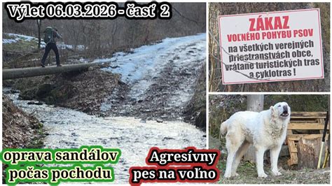 veľký biely pes pri rodinnom dome