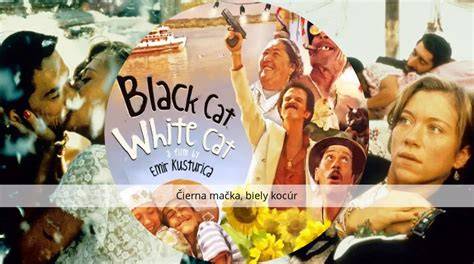 Čierna mačka a biely kocúr film