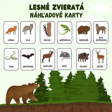 Lesné zvieratá s latinskými názvami