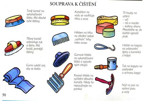 pomôcky na čistenie koňa