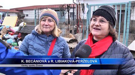 zbierka krmiva a potrieb pre útulok