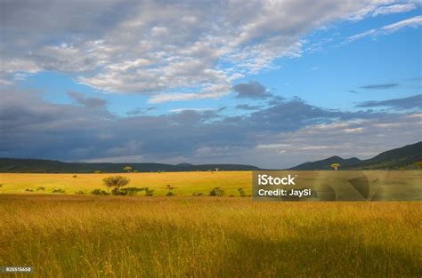 Africká savana so slonom a levom