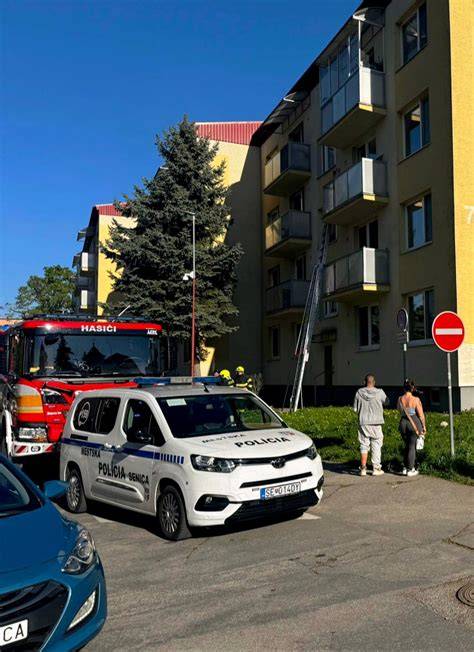Mačací otec Fúzik hľadá Klbka v meste