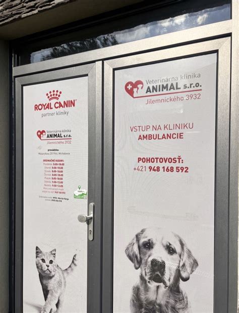 nočná veterinárna pohotovosť pre psa