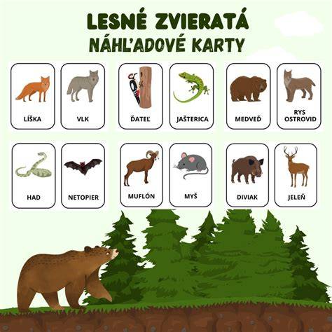 Lesné zvieratá v prirodzenom prostredí