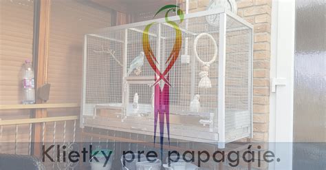 Vybavenie klietky pre papagája