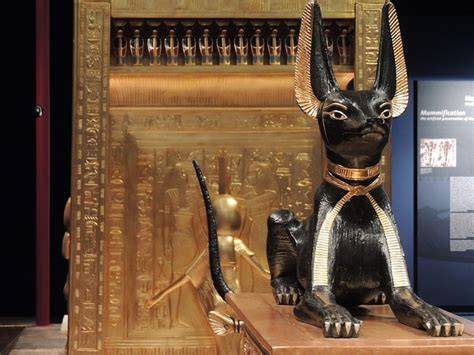 Mačka v starovekom Egypte a bohyňa Bastet