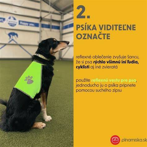 Bezpečné venčenie psa na vodidle