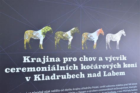 Bezpečný výcvik koní v jazdiarni