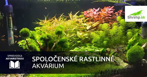 rastlinné akvárium aquascaping