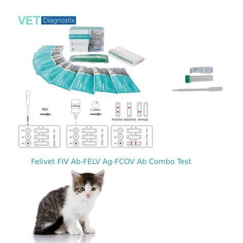 mačka veterinárny test FeLV krv