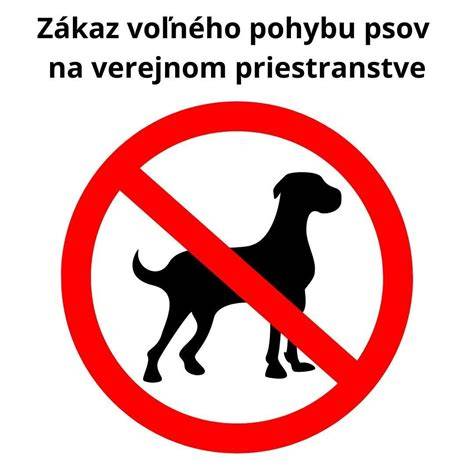 Odchyt túlavého psa na verejnom priestranstve
