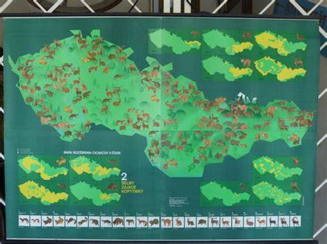 Mapa pôvodného a zavlečeného rozšírenia králika