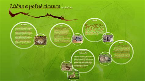 poľné a lúčne cicavce v prirodzenom prostredí