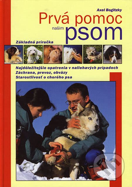 prvá pomoc po uhryznutí psom