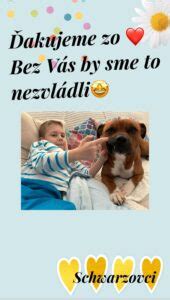 Intubácia zvieraťa počas anestézie
