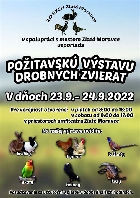Výstava drobných zvierat v amfiteátri