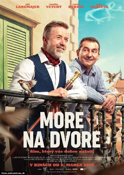 nosnice pri kŕmení na dvore