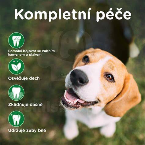 čistenie zubov malého psa