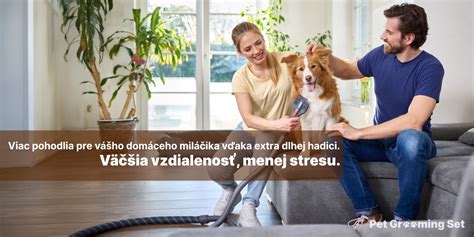 Pes počas pĺznutia a česania srsti