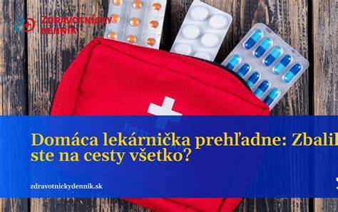 Paralen a pes pri domácej lekárničke
