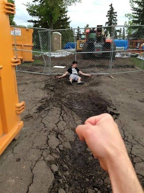 komické fotografie divokej zveri